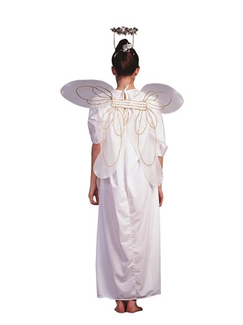 Wings