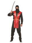 Red Ninja Master