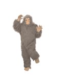 Gray Gorilla ( No picture)