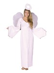 28"x20" Adult Fairy Wings