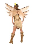 Indian Fairy Wings with feather