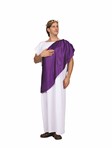 Roman Senator