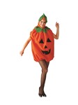 Pumpkin Adult Unisex 2 pc costume