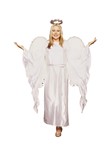 Guardian Angel