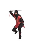 Ninja master