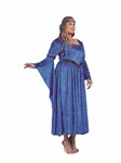 Renaissance Beauty adult plus sized costume 2 pcs