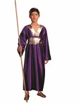 Wiseman-purple