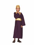 Wiseman-purple